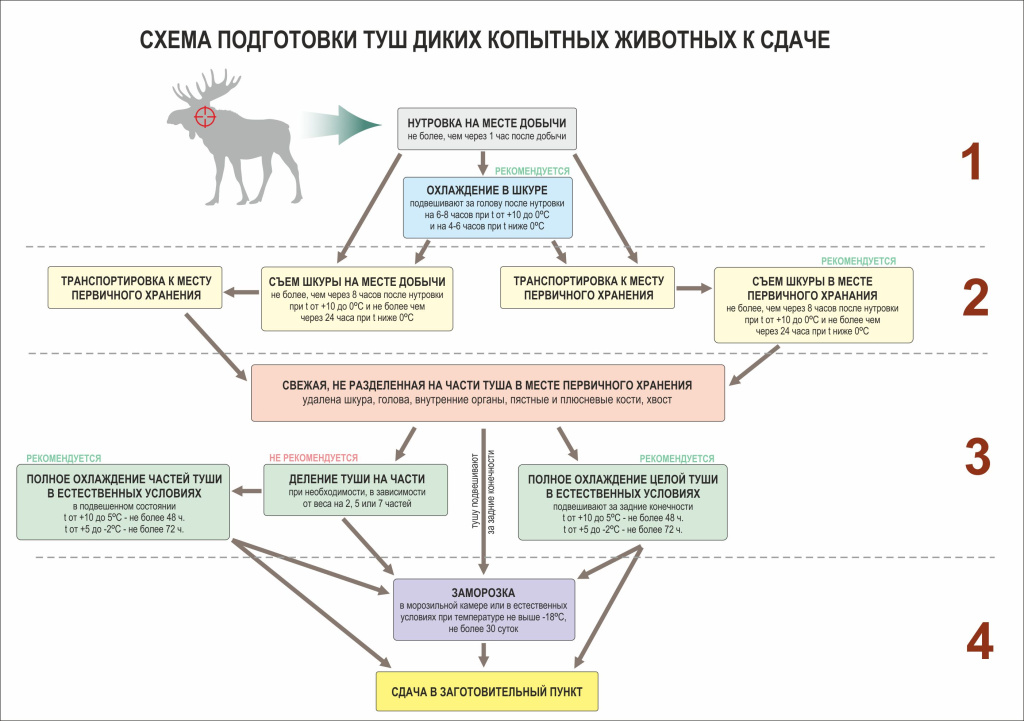 Порядок разделки 4.jpg